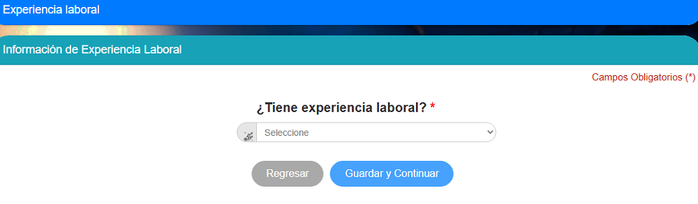 experiencia_laboral